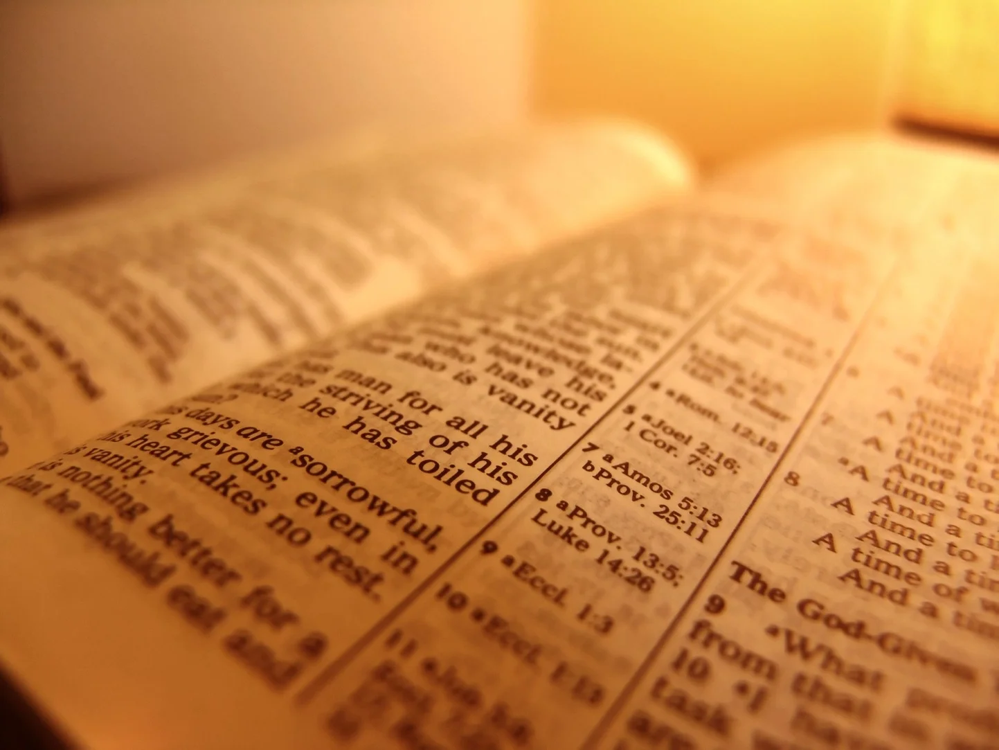 Bible.jpg