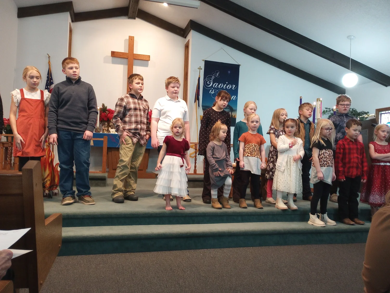 IMG_20241215_101232159.jpg